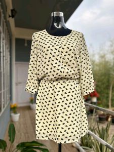Shrit Dress