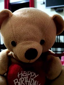 teddy bear