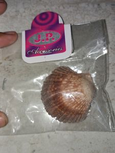 Silver hoops, Two big shells, Ten small pink shell
