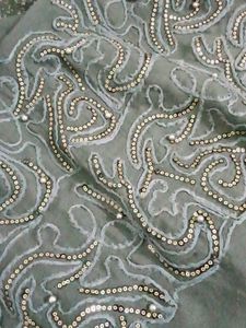 Embellished Dupatta