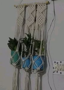 Plant Wall Hanging