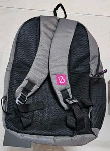 Grey &amp; Purple Backpack, Water - Resistant