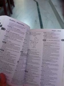 Dictionary