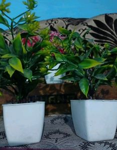 small green plastic flower with pot , budget for freeup