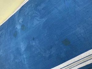 Blue Singe Bedsheet