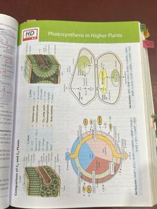 NCERT Biology Class XI + XII