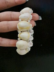 Set Of Three Original Shell Bracelet