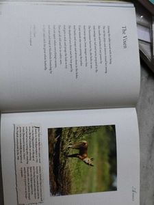 Great Writer Poems Book