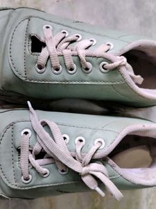Sneakers Shoes