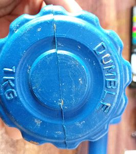 1 Kg Dumble