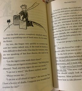 The Little Prince - Antoine de Saint-Exupery
