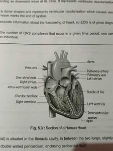 class 11th labelled diagram book.