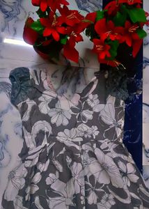 Women Frock Suit