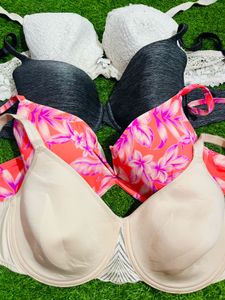 38 D/Dd Size Padded