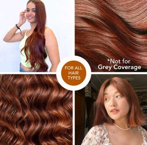 PARADYES Cinnamon Brown Hair Color