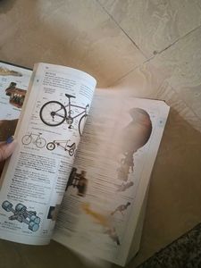 Oxford Illustrated Dictionary