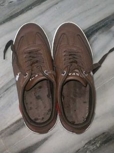 Brown Casual Sneakers