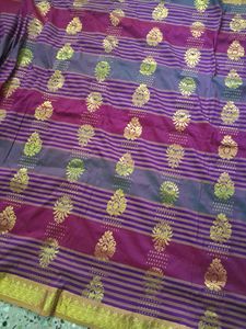 Golden Jari Work Saree