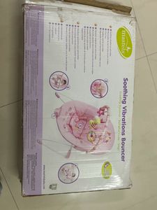 Soothing Vibrations Bouncer
