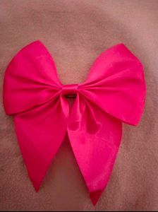 Combo Of Shirt And Cute Bow🎀