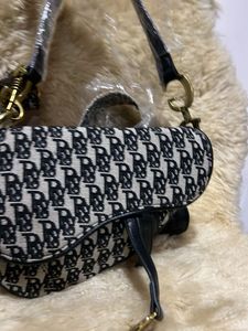 Dior Saddle Bag