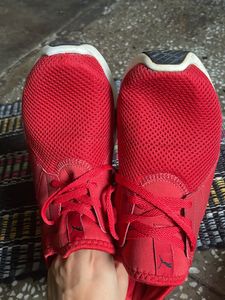 Original Branded Puma Shoes