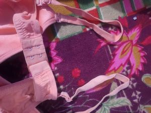 “Rosaline Padded Non-Wired T-Shirt Bra | 3/4 Cover