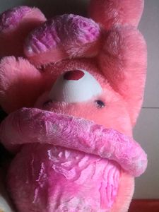 Pink Teddy Bear