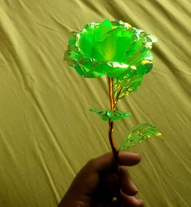 Fluorescent Green Rose With Golden Highlights.