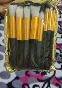 Makeup Brush Set - 10 Piece
