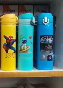 Stainless Steel Bottle