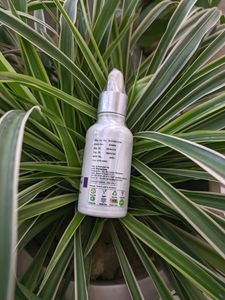 10% Niacinamide Face Serum