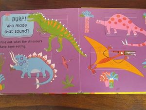 Lift The Flap dinosaur Book