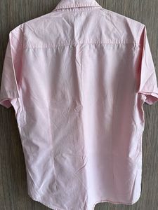 UCB half Sleeve Pink Shirt