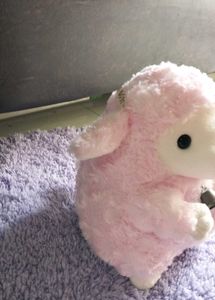 Pink Sheep With Bell