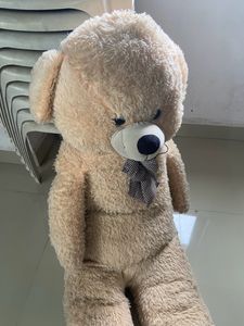 Giant Teddy