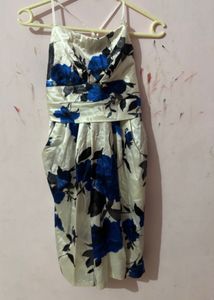 Floral Print Mini Dress