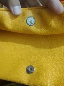 Mustard Color Purse