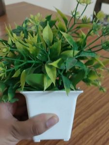Fake decorative  plant For decoration