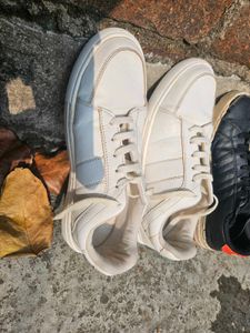 Highlander White Casual Sneakers