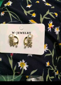 Beautiful Western Earing