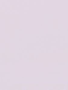 I already have bag of same colour