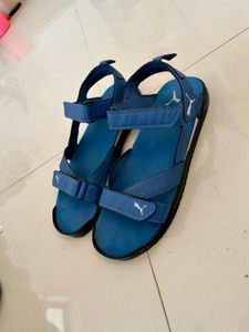 Puma Floater Chappal Sandal