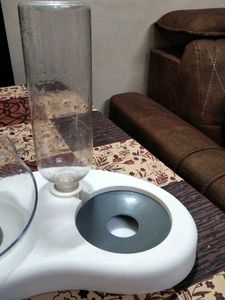 Cat Food and Water Dispenser