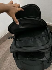 Flamingo&#39;s College/office Backpack