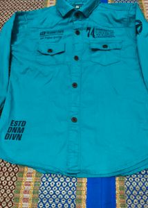 Teal Graphic Long Sleeve Shirt