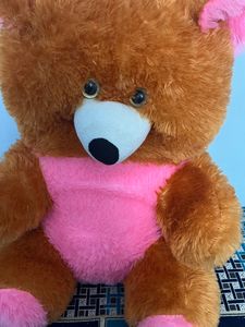 Teady Bear