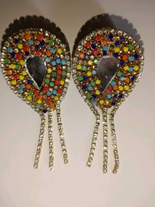 Multi Colour Earrings
