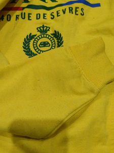 Sweat Shirt