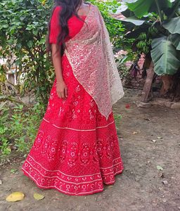 Red Embroidered Lehenga Choli